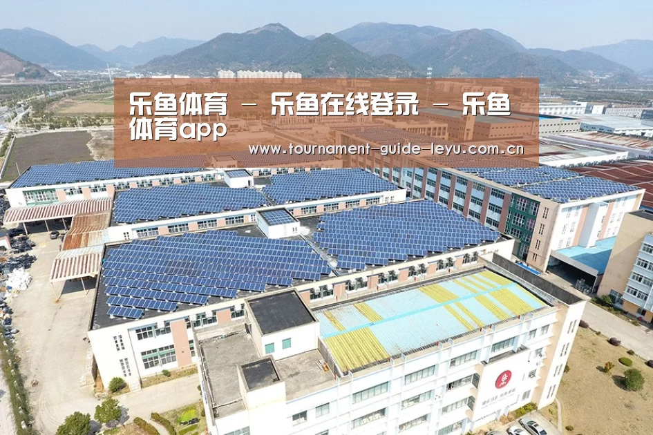 案例展示一