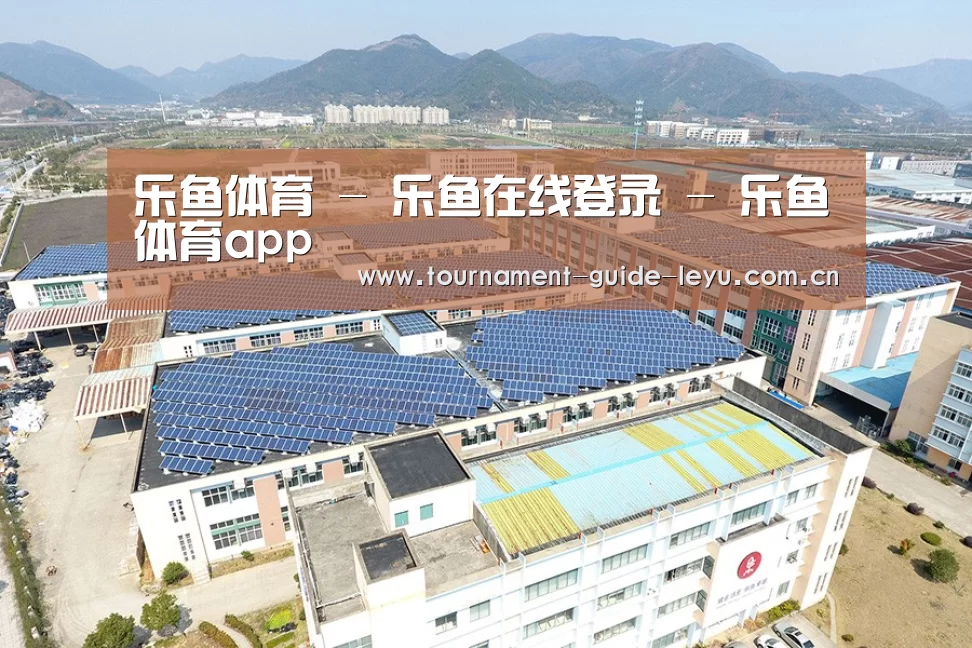 案例展示四