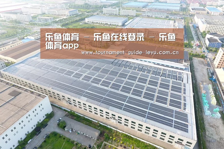 案例展示三