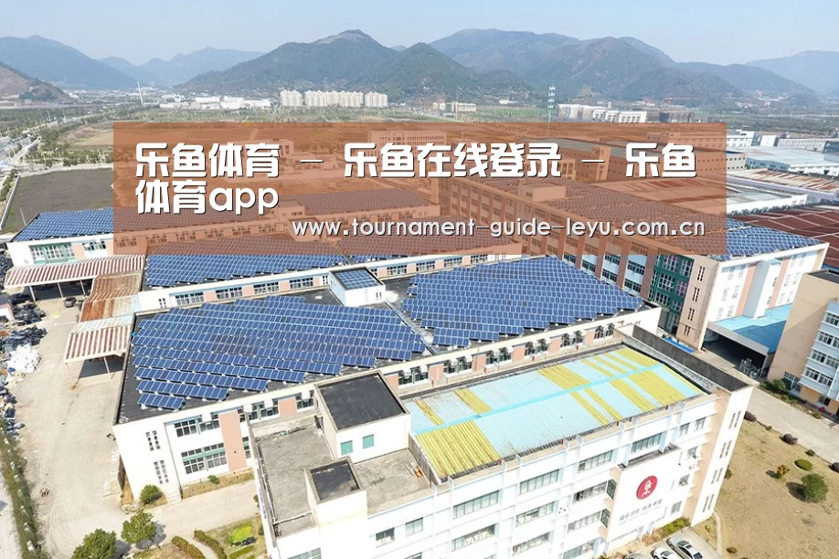 案例展示三