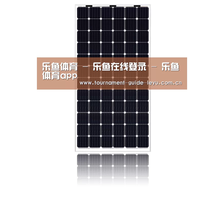 产品名称六