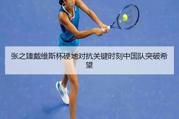 张之臻戴维斯杯硬地对抗关键时刻中国队突破希望